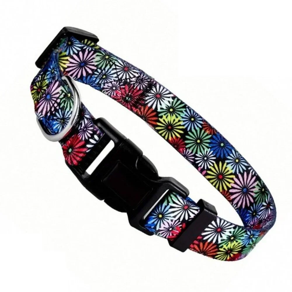 Maisette Multicolor Flowers Breakaway D Ring Dog Collar Size Large Gift Packaged